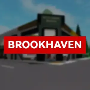 Brookhaven Items
