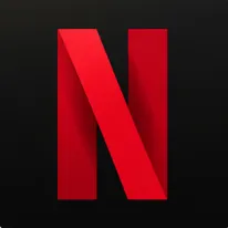 Netflix Subscription