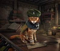 Call of Duty Mobile TOPUP 400+400 CP ( login infor need)