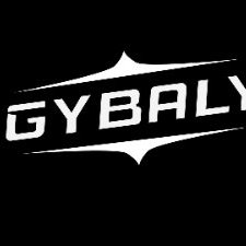 🎮 Battle.net: COD COLD WAR 🔥 | SCREENS IN LOT | 