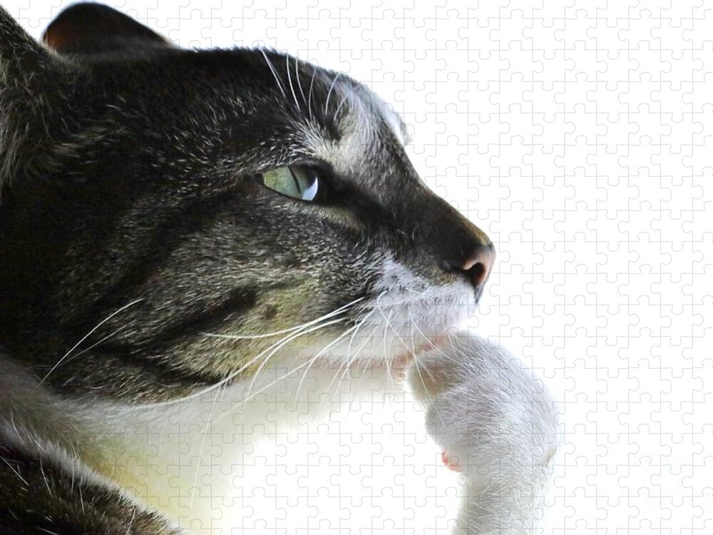 🔥Los Combinasionas Yin Yang 277.5m/s [ Steal a Brainrot ] | Fastest Delivery ✅