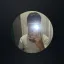 Avatar Icon