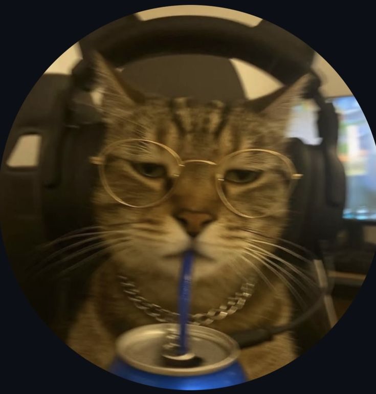 Custom Offer🔥12k Trophy Push🏆Ranked Push To Ultimate Champion🥇Cheap Price🫡Ultra Fast Delivery⚡Text Me For More Information⚡⚠️Do Not Purchase This Offer⚠️