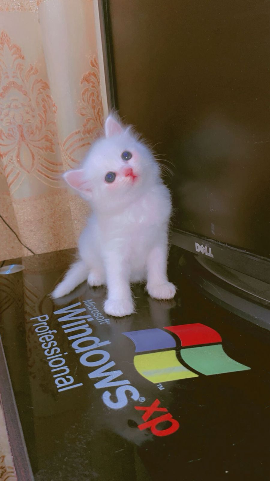 All Star Tower Defense LVL 42 🔥14 mythical🔥ziek all star🔥Auto delivery🔥No Email ✅